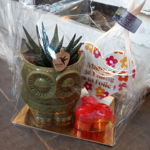 Pack plante spécial fête des mères
