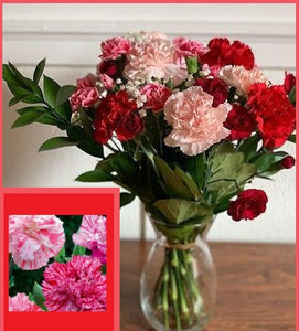 Bouquet de fleurs naturelles : Oeillets