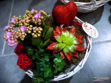 Charger l'image dans la galerie, Plantes : Montages de plantes d'intérieur "Glitter"