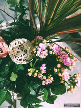Charger l'image dans la galerie, Plantes: compositions de plantes d'intérieur "Germaine"
