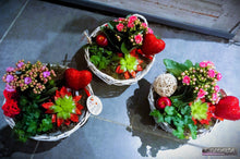 Charger l'image dans la galerie, Plantes : Montages de plantes d'intérieur "Glitter"