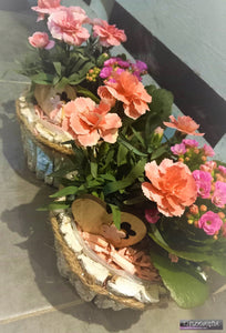 Plantes d'intérieur : montage rose
