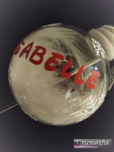 Décoration de Noël  : Boules personnalisées