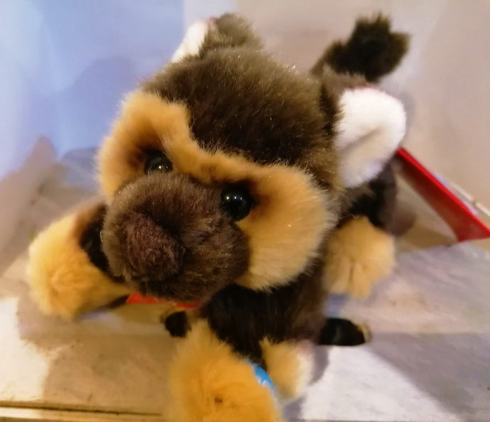 Pia Pia Peluche Chiot
