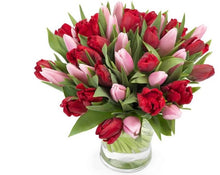 Charger l&#39;image dans la galerie, Bouquet de fleurs naturelles : &quot;Tulipes&quot;