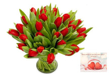 Charger l&#39;image dans la galerie, Bouquet de fleurs naturelles : &quot;Tulipes&quot;
